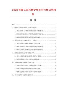 2026年圆头压花锅铲项目可行性研究报告