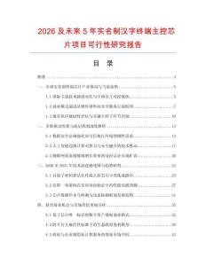 2026及未來5年實(shí)名制漢字終端主控芯片項(xiàng)目可行性研究報(bào)告