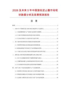 2026及未来5年中国滚柱逆止器市场现状数据分析及前景预测报告