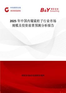 2025年中國內窺鏡柜子行業市場規模及投資前景預測分析報告