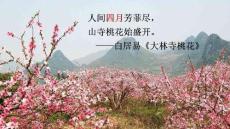 初中语文新人教版九年级下册第一单元5 你是人间的四月天——一句爱的赞颂考点精讲教学课件（2026秋）