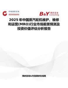 2025年中國蒸汽輪機維護、維修和運營(MRO)行業市場前景預測及投資價值評估分析報告