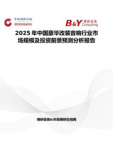 2025年中国豪华改装音响行业市场规模及投资前景预测分析报告