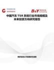 中國(guó)汽車TSR系統(tǒng)行業(yè)市場(chǎng)規(guī)模及未來(lái)投資方向研究報(bào)告