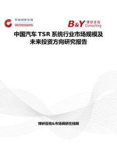 中國汽車TSR系統行業市場規模及未來投資方向研究報告