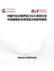 中国汽车分离声区(SSZ)系统行业市场规模及未来投资方向研究报告