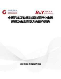 中國汽車發動機油嘴油泵行業市場規模及未來投資方向研究報告