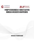 中国汽车差动驱动小齿轮行业市场规模及未来投资方向研究报告