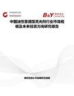 中國油性普通型亮光劑行業市場規模及未來投資方向研究報告