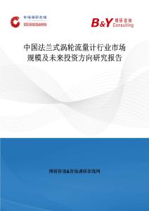中國(guó)法蘭式渦輪流量計(jì)行業(yè)市場(chǎng)規(guī)模及未來(lái)投資方向研究報(bào)告