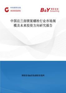 中國法蘭面鎖緊螺栓行業市場規模及未來投資方向研究報告
