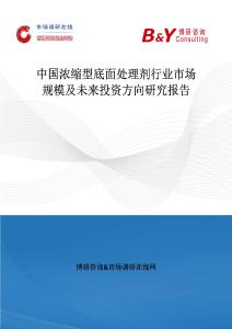中國濃縮型底面處理劑行業市場規模及未來投資方向研究報告