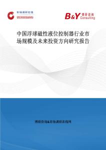 中國浮球磁性液位控制器行業市場規模及未來投資方向研究報告