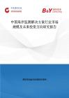 中國海岸監測解決方案行業市場規模及未來投資方向研究報告