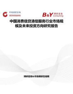 中國消費信貸清償服務行業市場規模及未來投資方向研究報告