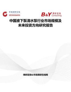 中國液下泵清水泵行業市場規模及未來投資方向研究報告