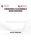 中国清宫寿桃丸行业市场规模及未来投资方向研究报告