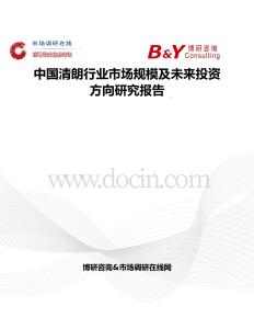 中国清朗行业市场规模及未来投资方向研究报告