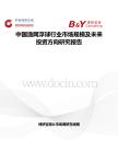 中國(guó)漁網(wǎng)浮球行業(yè)市場(chǎng)規(guī)模及未來(lái)投資方向研究報(bào)告