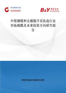 中國煙煤和無煙煤開采洗選行業市場規模及未來投資方向研究報告