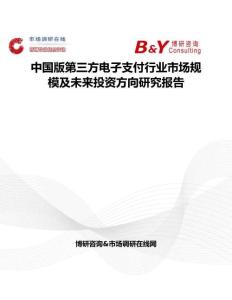 中國版第三方電子支付行業市場規模及未來投資方向研究報告