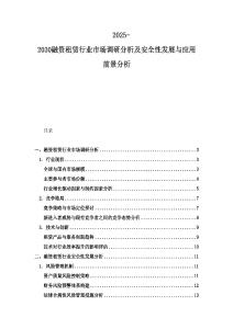 2025-2030融資租賃行業(yè)市場調(diào)研分析及安全性發(fā)展與應(yīng)用前景分析