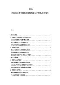 2025-2030農田水利設施智能化改造與水資源高效利用