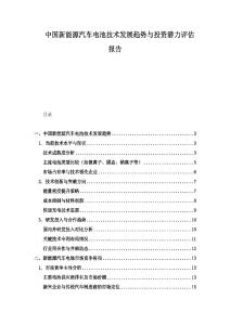 中国新能源汽车电池技术发展趋势与投资潜力评估报告