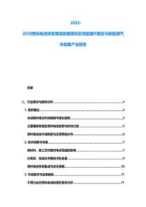 2025-2030燃料电池研发领域发展现状及性能提升路径与新能源汽车配套产业报告