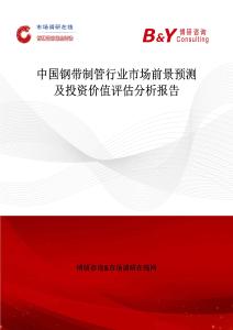中國鋼帶制管行業市場前景預測及投資價值評估分析報告