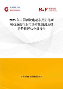 2025年中国两轮电动车用防抱死制动系统行业市场前景预测及投资价值评估分析报告