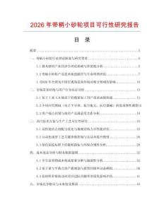 2026年帶柄小砂輪項目可行性研究報告