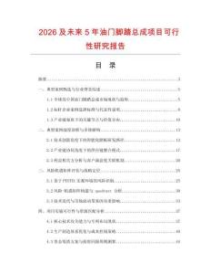 2026及未來(lái)5年油門(mén)腳踏總成項(xiàng)目可行性研究報(bào)告