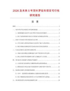 2026及未來5年雙針羅拉車項目可行性研究報告