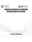 中国游戏水域效果行业市场前景预测及投资价值评估分析报告