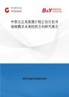 中國文丘里流量計校正儀行業(yè)市場規(guī)模及未來投資方向研究報告