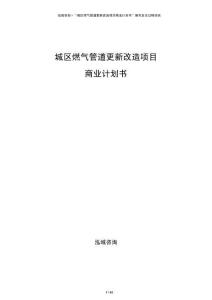 城區燃氣管道更新改造項目商業計劃書