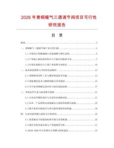 2026年黄铜暖气三通调节阀项目可行性研究报告