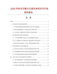 2026年卧式马鞍大孔径车床项目可行性研究报告