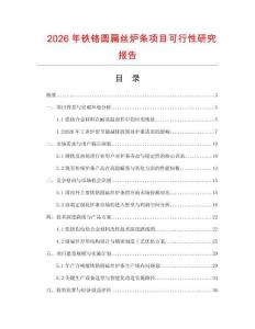 2026年鐵鉻圓扁絲爐條項目可行性研究報告