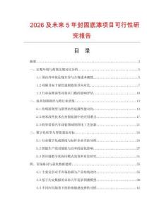 2026及未來5年封固底漆項目可行性研究報告