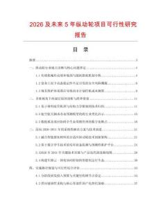2026及未来5年纵动轮项目可行性研究报告
