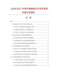 2026-2031年单针假缝高头车项目投资价值分析报告
