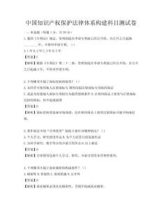 中国知识产权保护法律体系构建科目测试卷