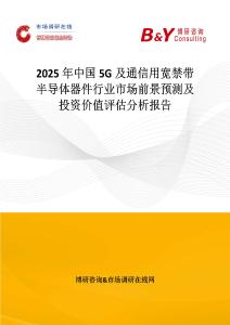 2025年中國5G及通信用寬禁帶半導體器件行業市場前景預測及投資價值評估分析報告