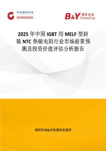 2025年中國IGBT用MELF型封裝NTC熱敏電阻行業市場前景預測及投資價值評估分析報告