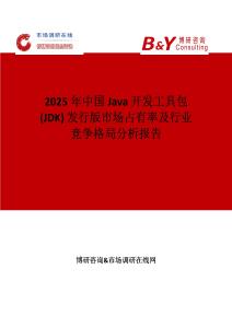 2025年中國Java 開發工具包 (JDK) 發行版市場占有率及行業競爭格局分析報告