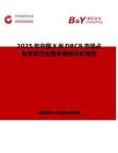 2025年中国X光DRCR市场占有率及行业竞争格局分析报告