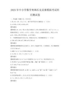 2025年中小學(xué)數(shù)學(xué)奧林匹克競賽模擬考試科目測試卷