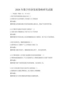 2026年數字經濟發展策略研究試題